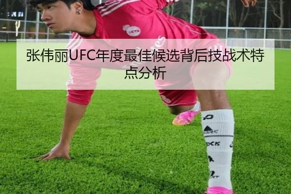 张伟丽UFC年度最佳候选背后技战术特点分析